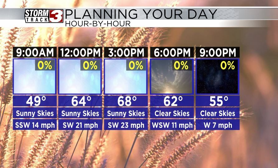 Hourly Forecast